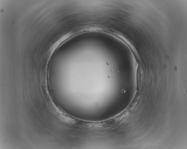 X0000072500861200607141128