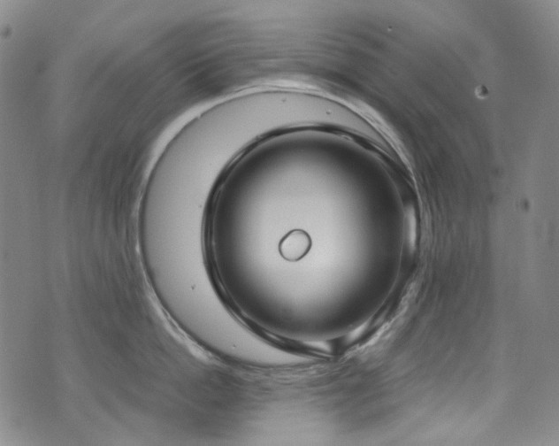 X0000072500862200607141128