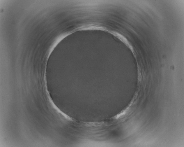 X0000072500863200607141128