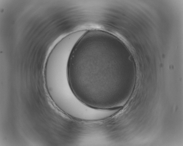 X0000072500864200607141128