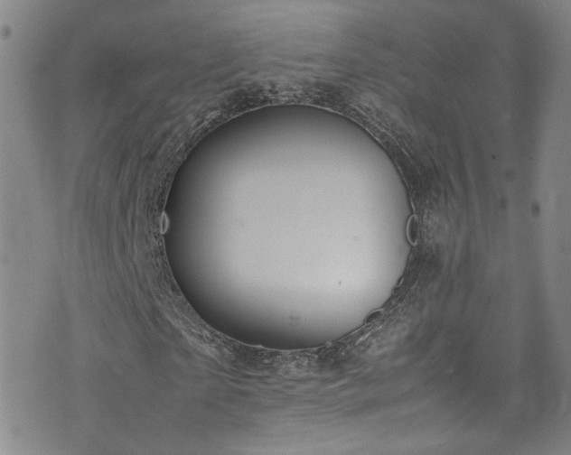 X0000072500865200607141127