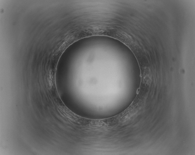 X0000072500866200607141127