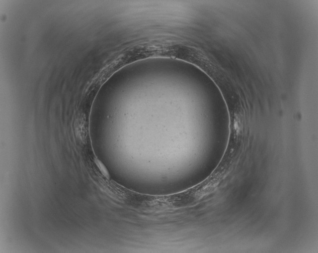 X0000072500867200607141127