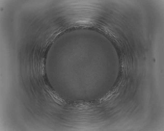 X0000072500868200607141127