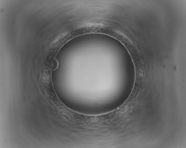 X0000072500869200607141127