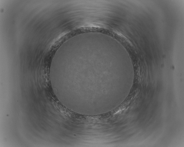 X0000072500870200607141127