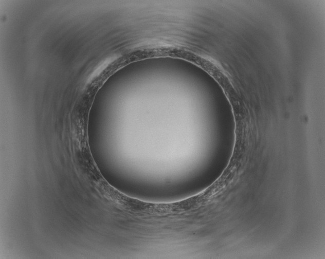 X0000072500871200607141127