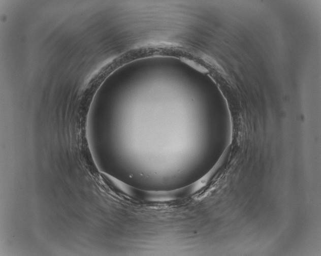 X0000072500872200607141127