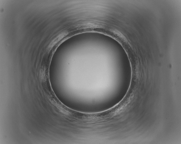 X0000072500873200607141127