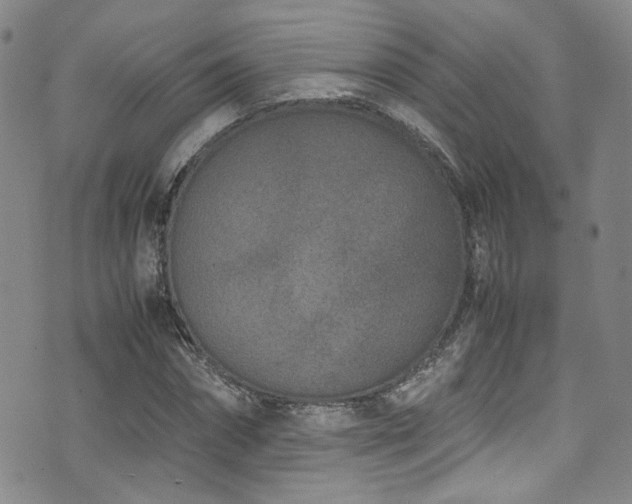 X0000072500874200607141127