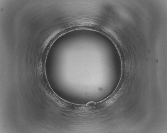 X0000072500875200607141127