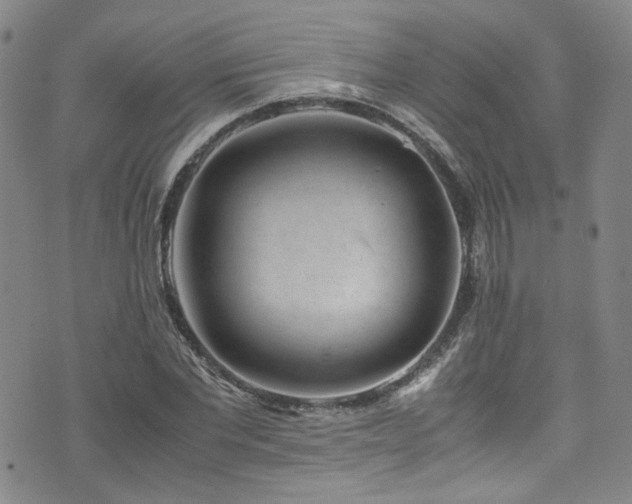 X0000072500877200607141127