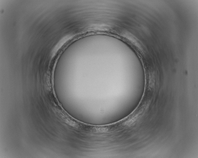 X0000072500878200607141127