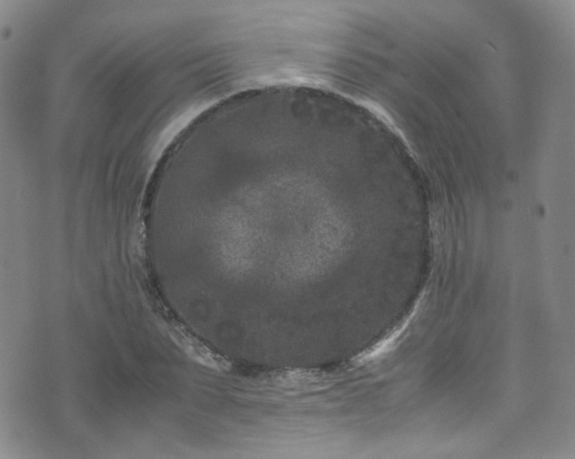 X0000072500879200607141127