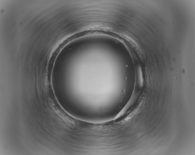 X0000072500880200607141127