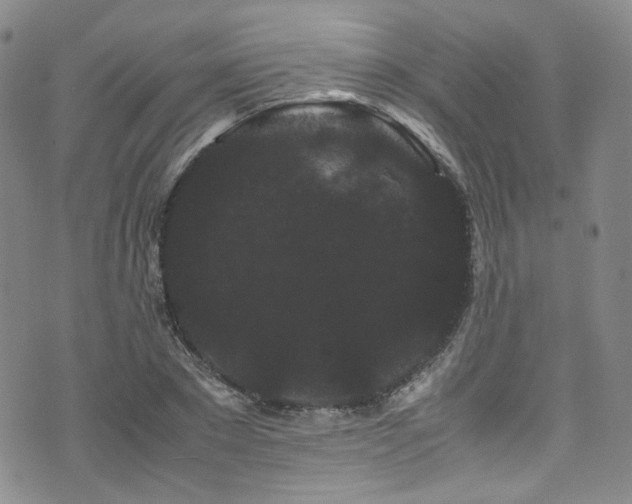 X0000072500881200607141127