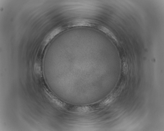 X0000072500882200607141127