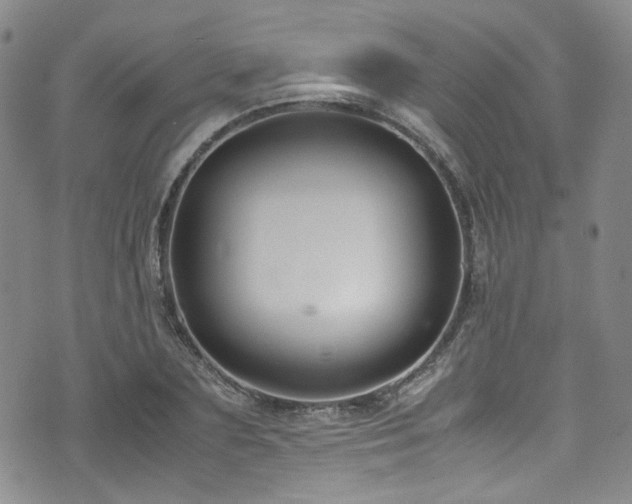 X0000072500883200607141127