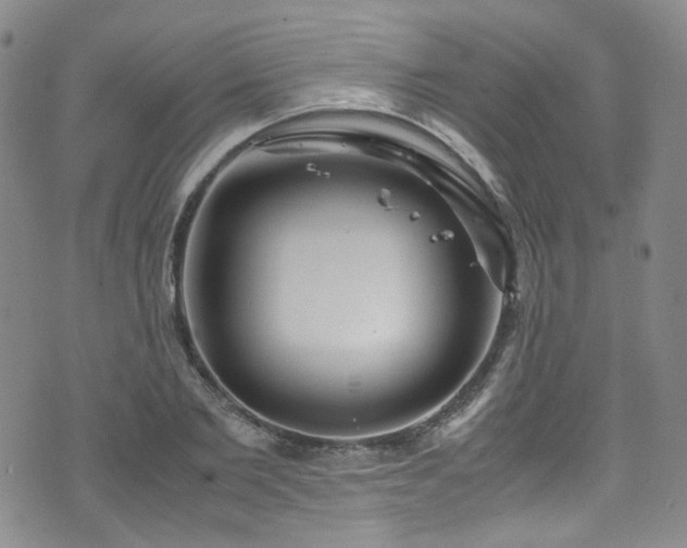 X0000072500885200607141127