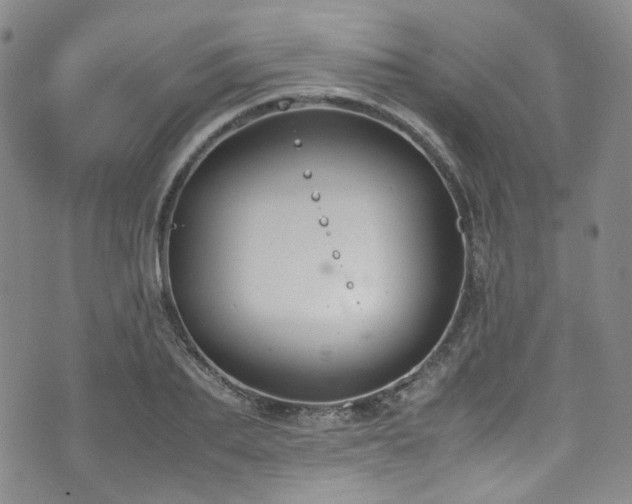 X0000072500887200607141127