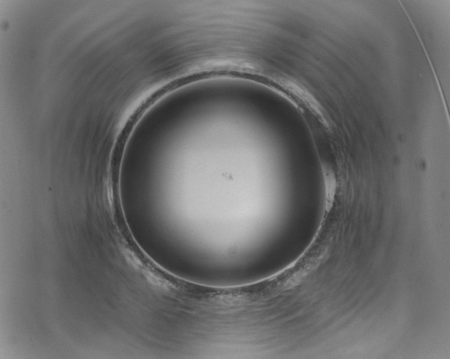 X0000072500888200607141127