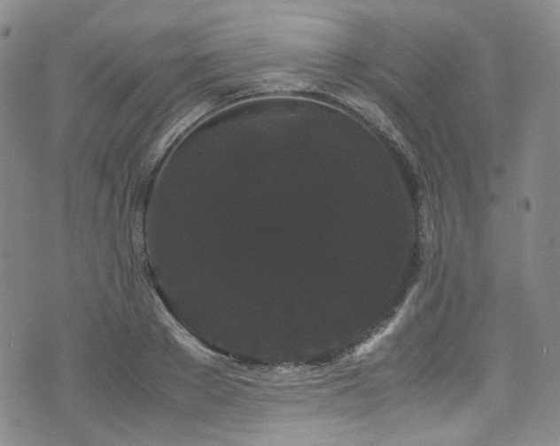 X0000072500889200607141127