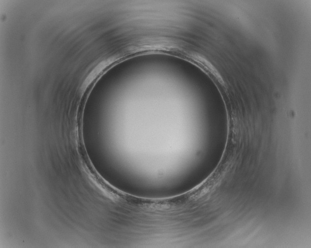 X0000072500890200607141127