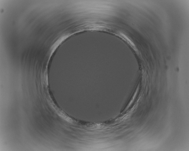 X0000072500891200607141127