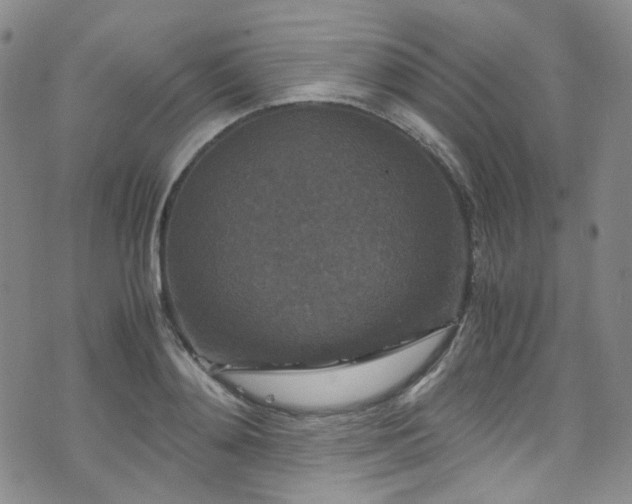 X0000072500892200607141127