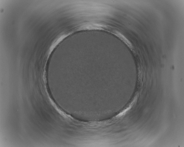 X0000072500893200607141127