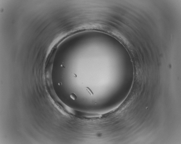 X0000072500894200607141127