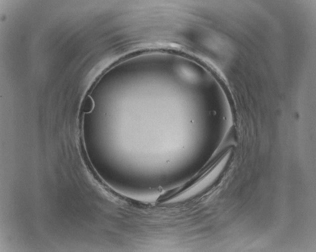 X0000072500895200607141127