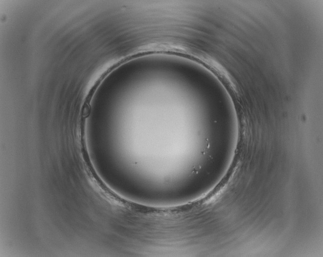 X0000072500896200607141127