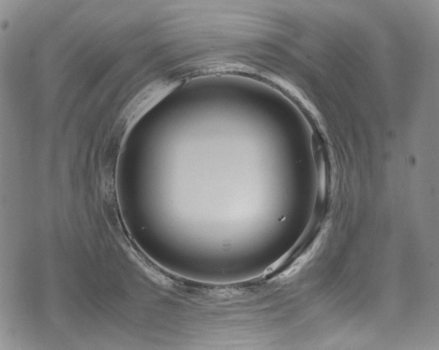 X0000072500897200607141126