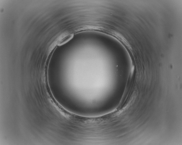 X0000072500898200607141126