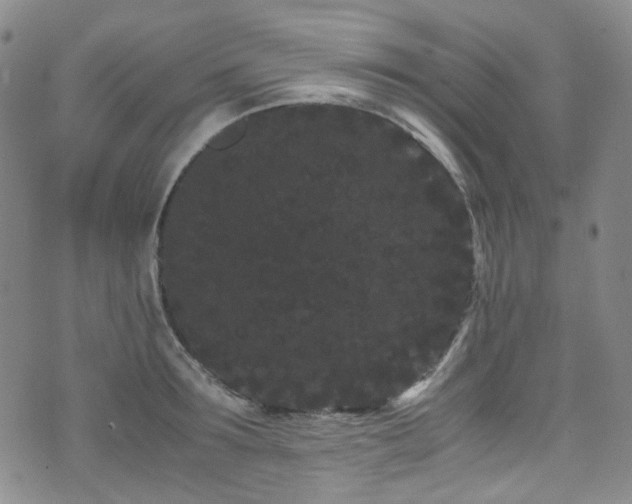 X0000072500899200607141126