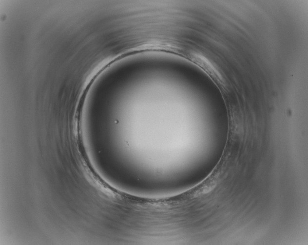 X0000072500900200607141126