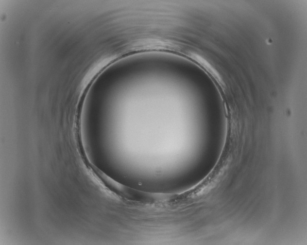 X0000072500901200607141126