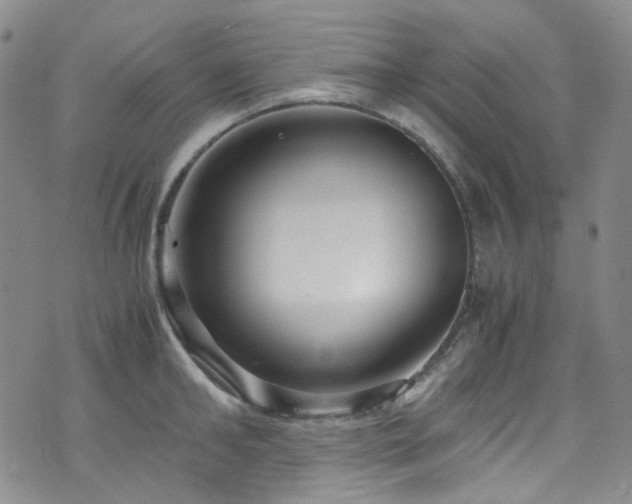 X0000072500902200607141126