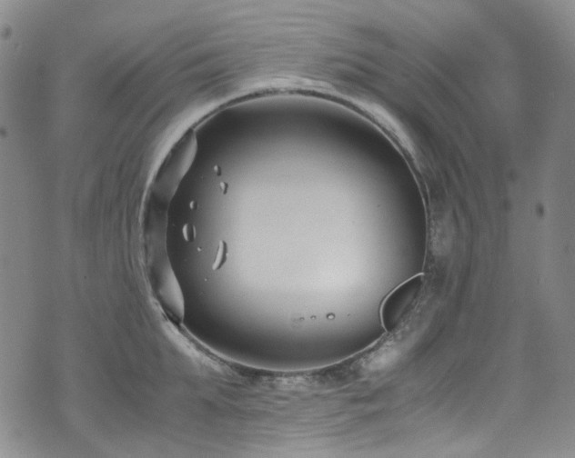 X0000072500903200607141126