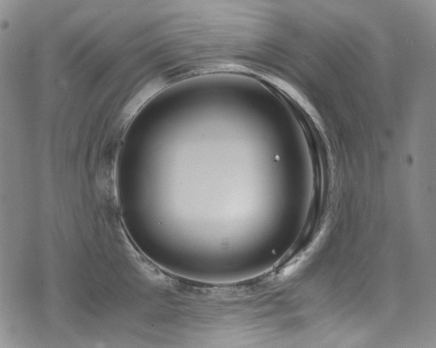 X0000072500905200607141126