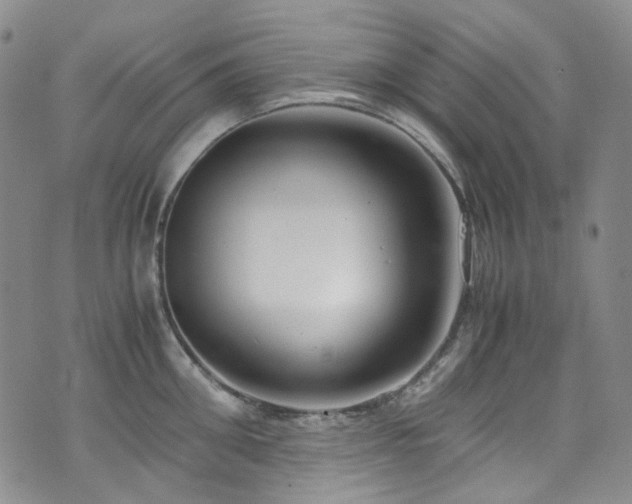 X0000072500906200607141126