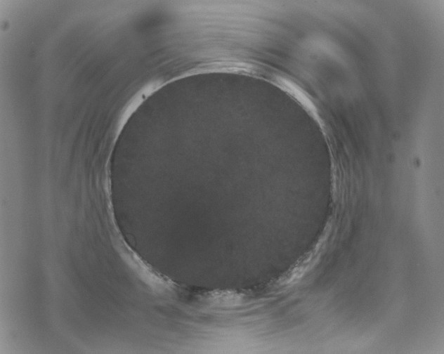 X0000072500907200607141126