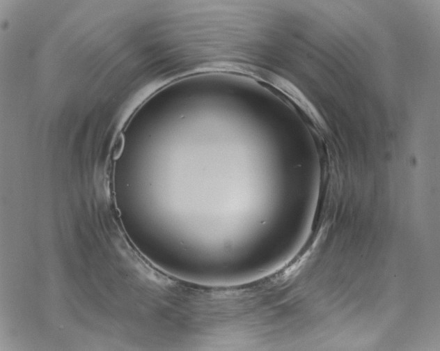 X0000072500908200607141126