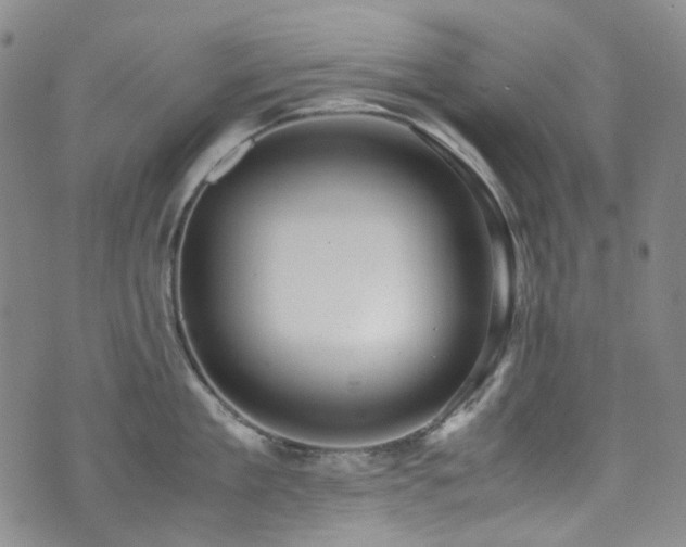 X0000072500909200607141126