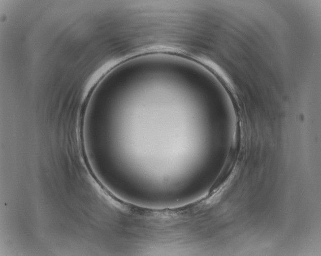 X0000072500910200607141126