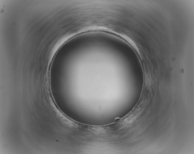 X0000072500911200607141126