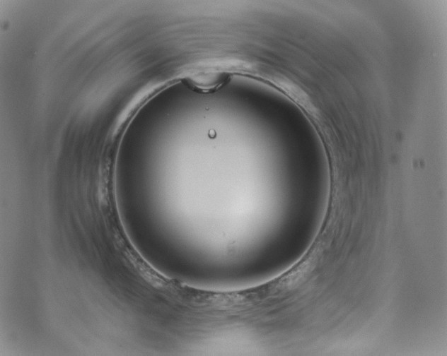 X0000072500912200607141126