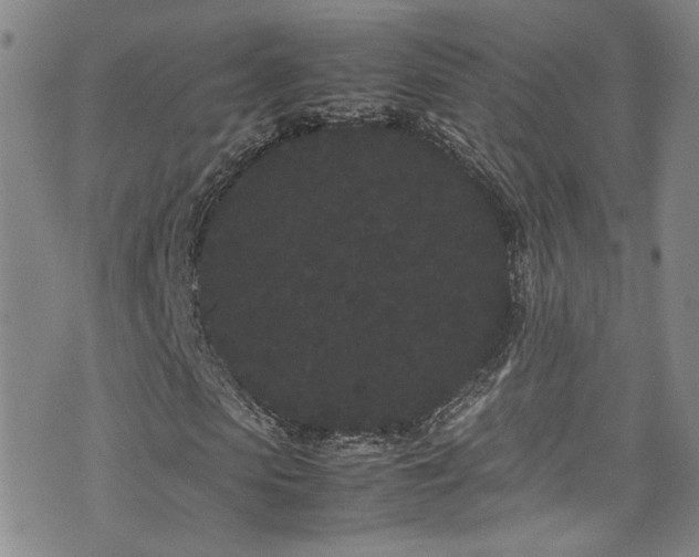 X0000072500913200607141125