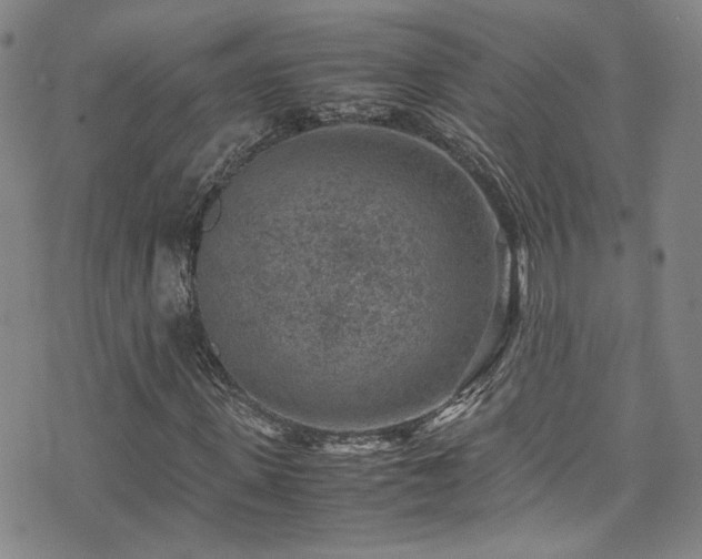 X0000072500915200607141125